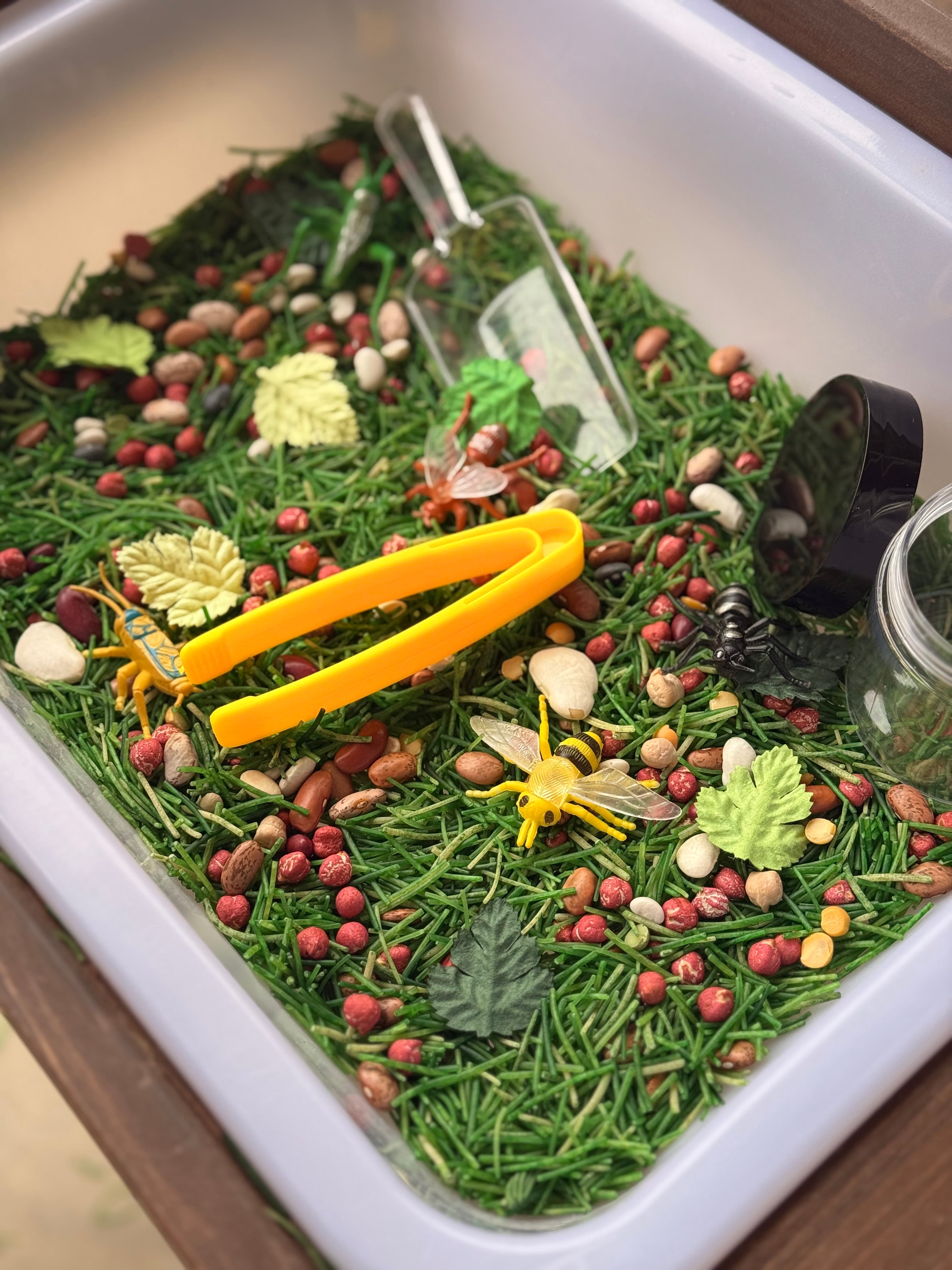 Sensory Bin Collection